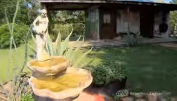 Back Forty Of Fredericksburg Bed & Breakfast Exterior foto